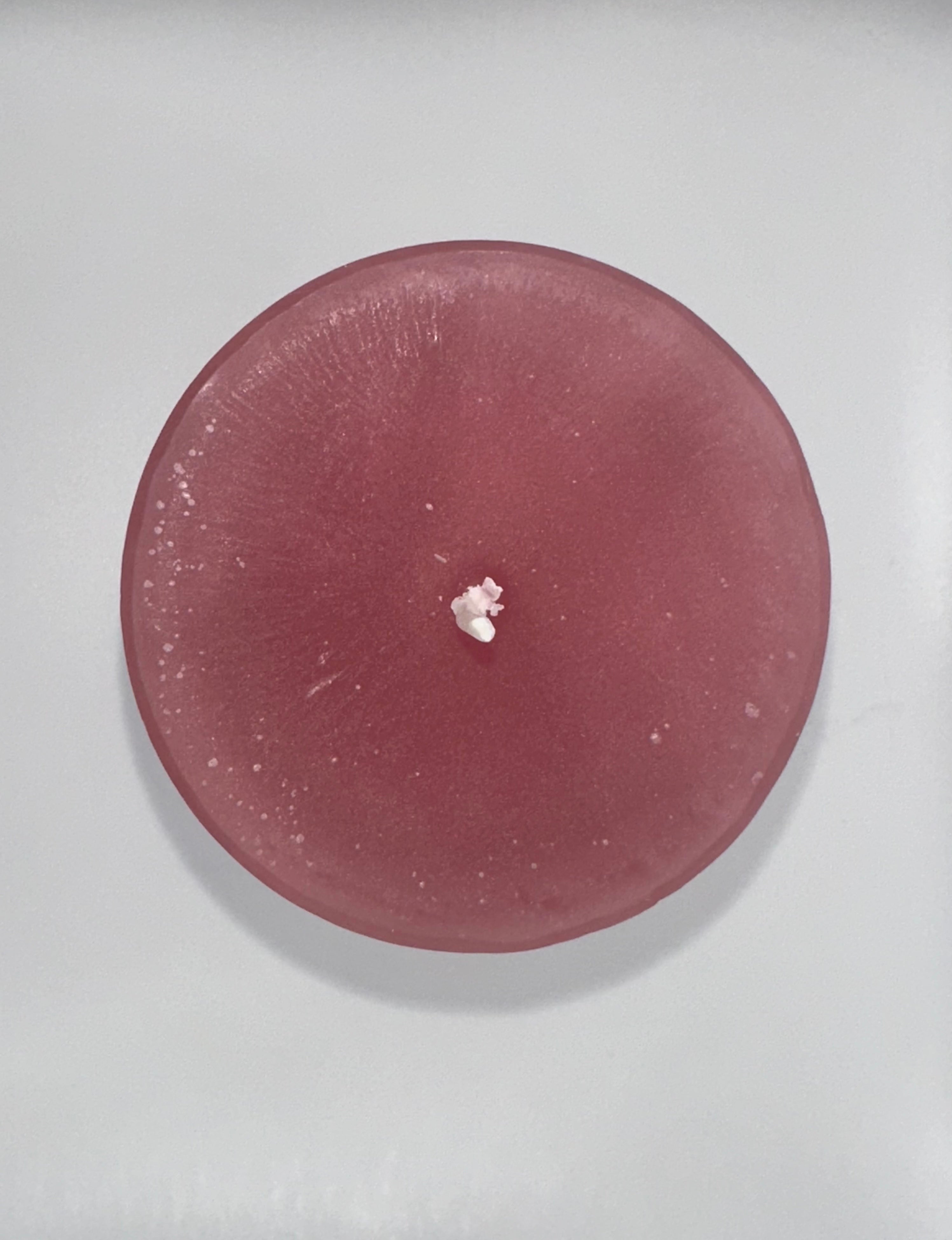 Stumpenkerze 6er Set Kerze beerenmus 8 x 15 cm