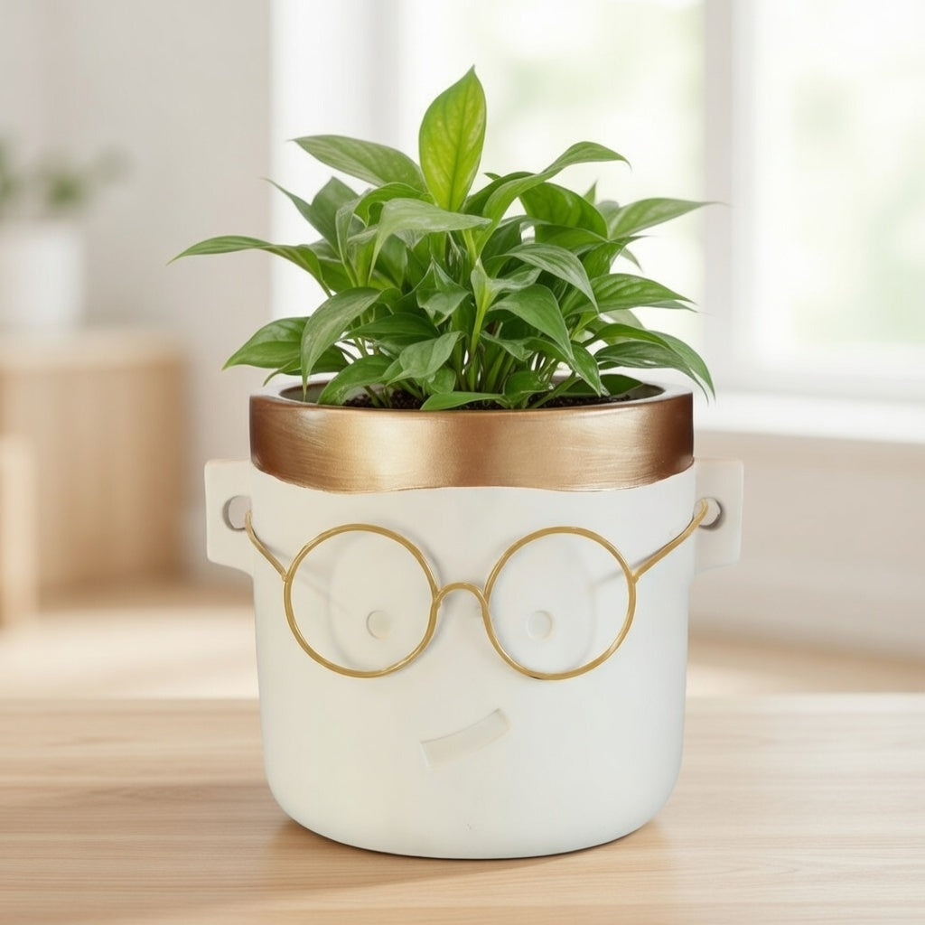 Blumentopf Harry Zement mit Brille verspielt modern 1 von 2 Ausführungen